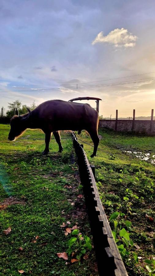 Pousada Marajoara- Hotel Fazenda-Turismo de Aventura Soure Exterior foto