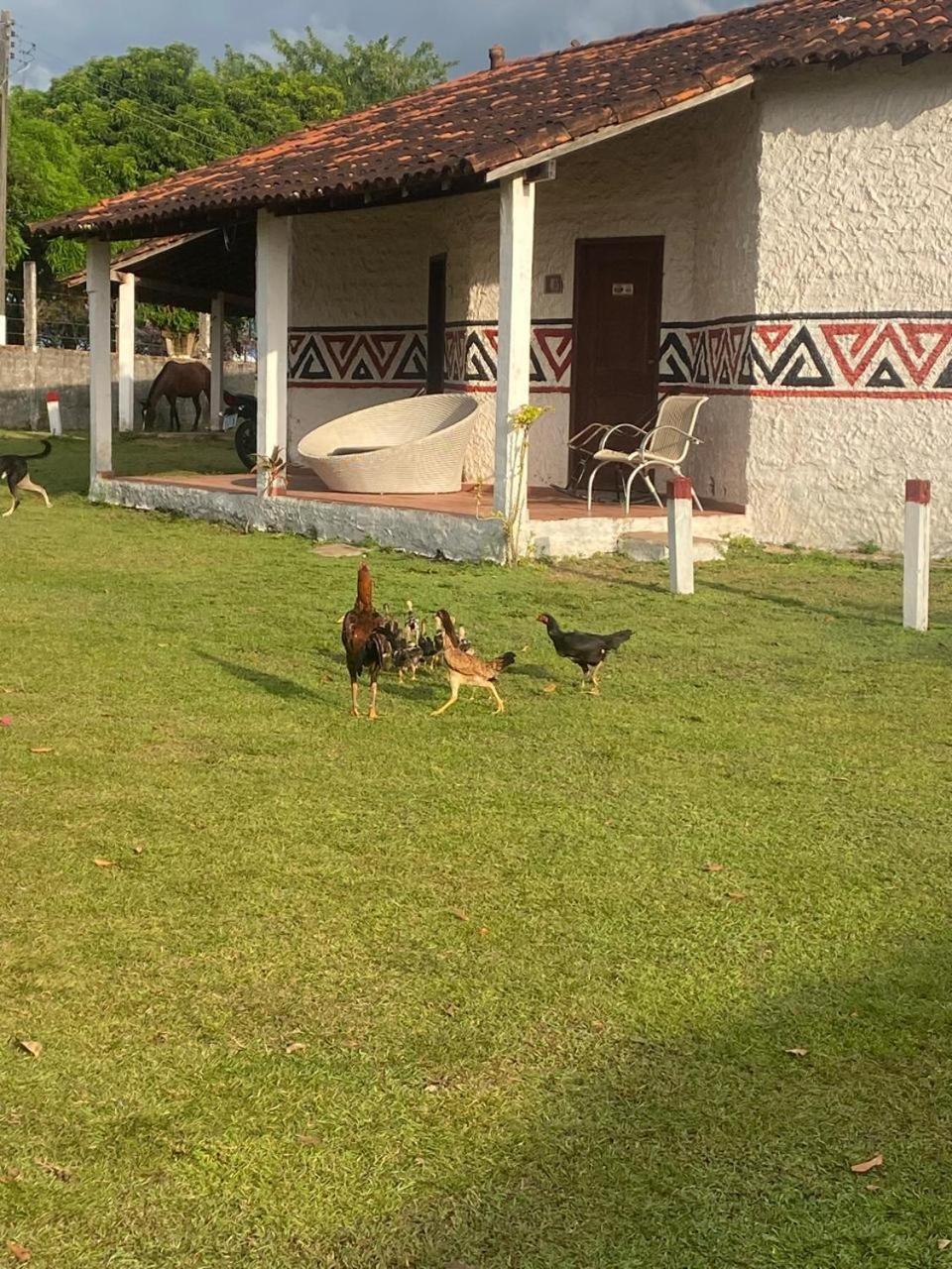 Pousada Marajoara- Hotel Fazenda-Turismo de Aventura Soure Exterior foto